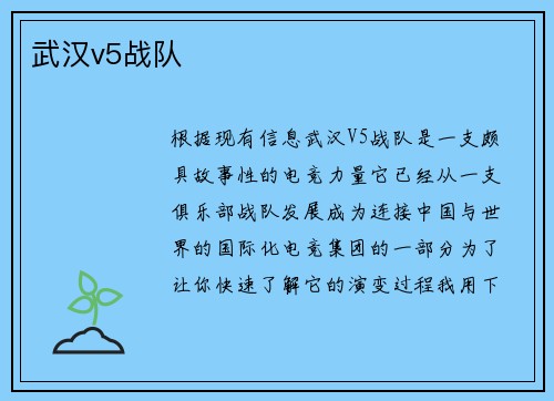 武汉v5战队
